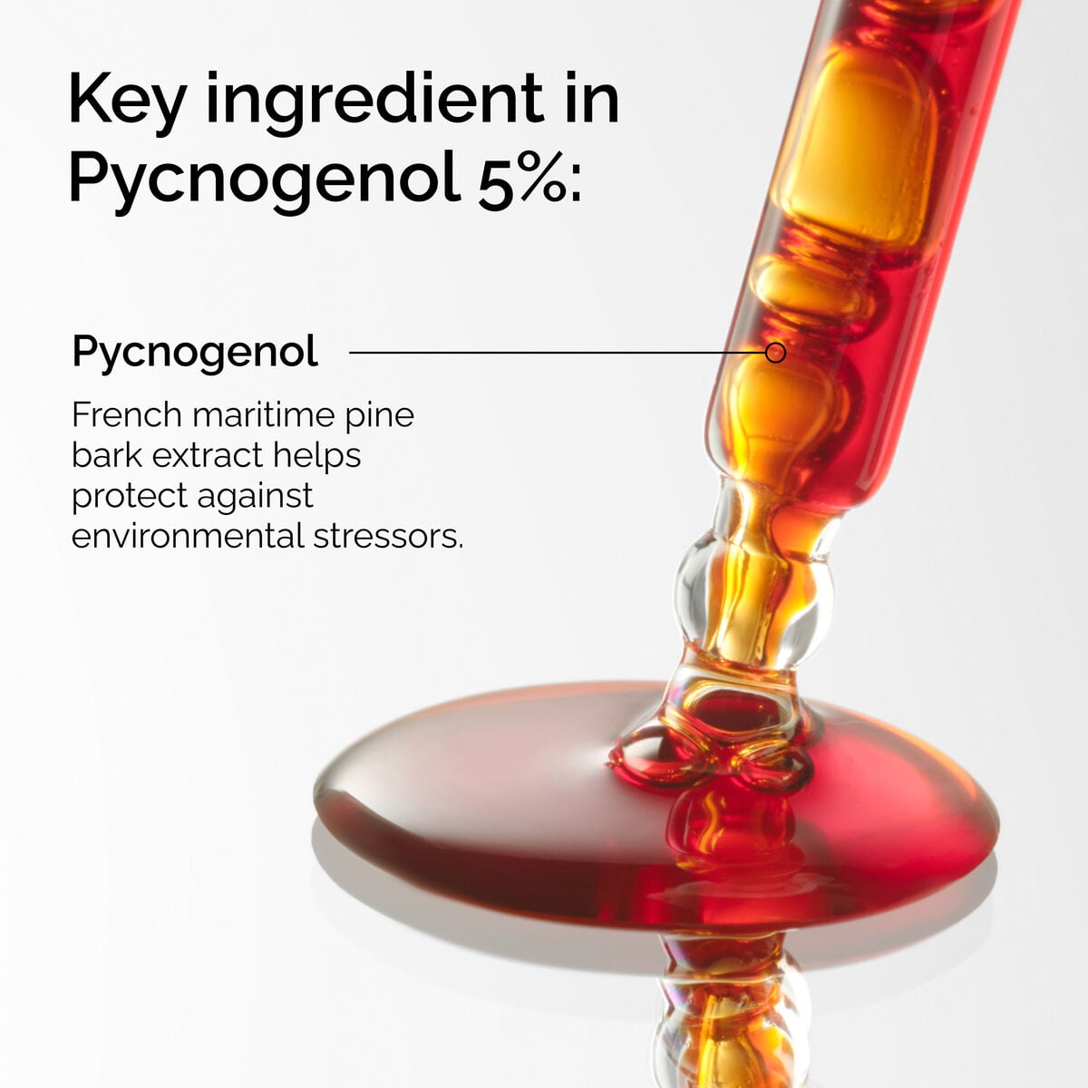 pycnogenol-5-n7 FY25-D41247-ORD-Web-PDP-Pyc-5pct-1x1-EN-2a.jpg