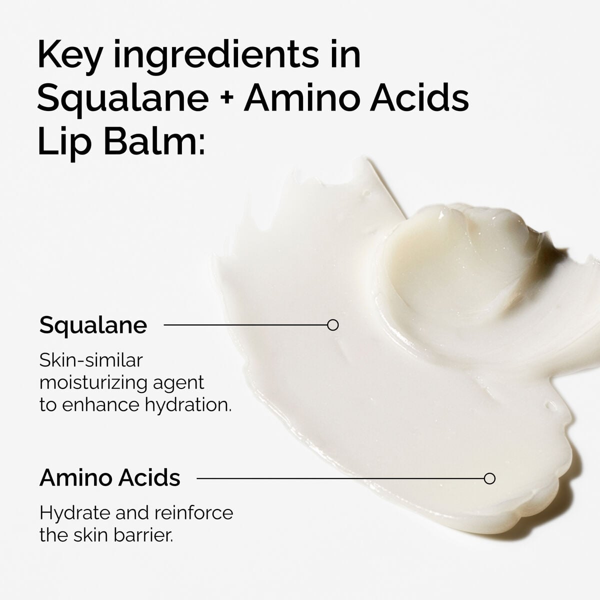 squalane-amino-acids-lip-balm-t1 FY25-D41247-ORD-Web-PDP-Sql-Amino-Lip-1x1-EN-2a.jpg